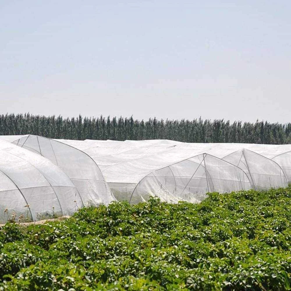 Apsauginis tinklelis nuo vabzdžių augalams, 3x10 m, 60mesh