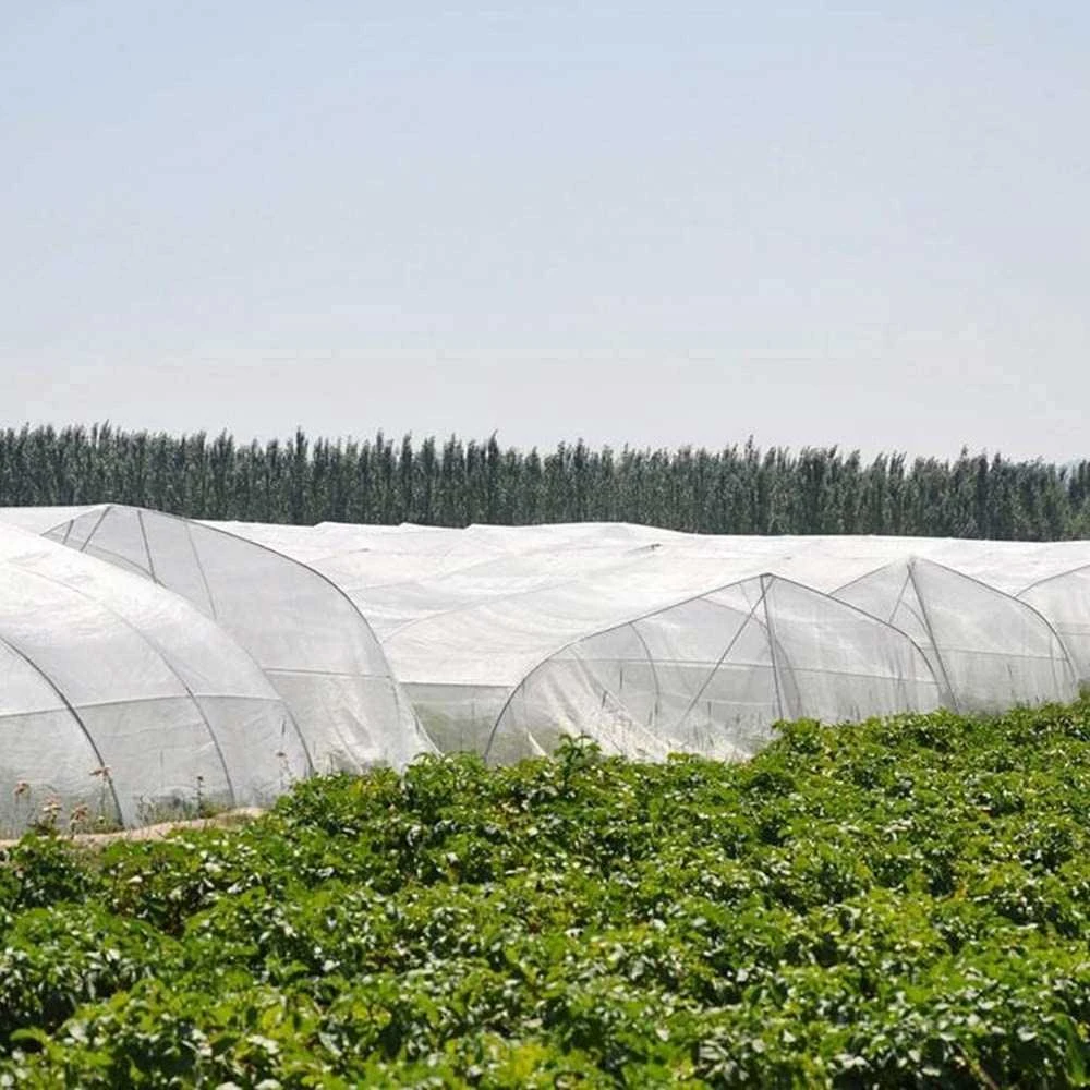 Apsauginis tinklelis nuo vabzdžių augalams, 3x6 m, 80mesh