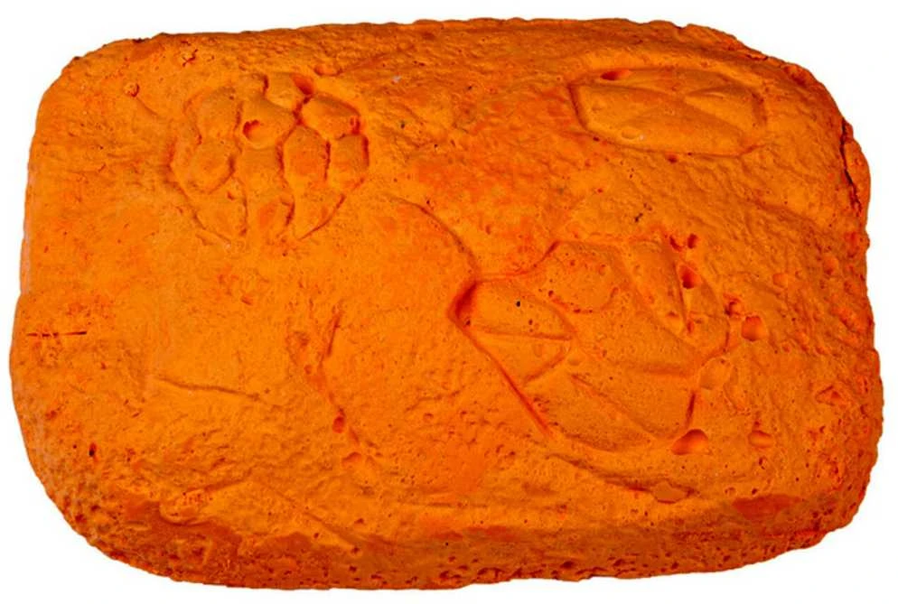 Archeologijos kasinėjimų rinkinys