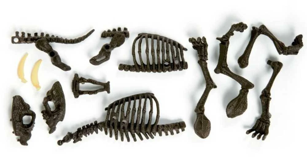 Archeologo rinkinys Dantytasis tigras