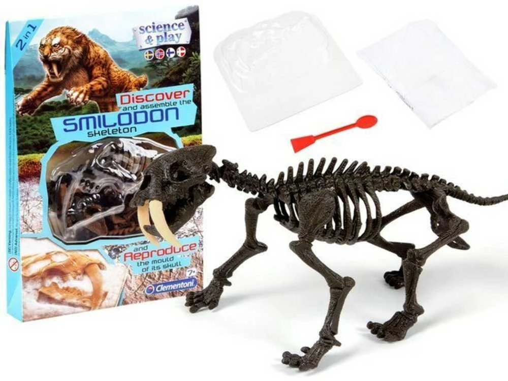 Archeologo rinkinys Dantytasis tigras