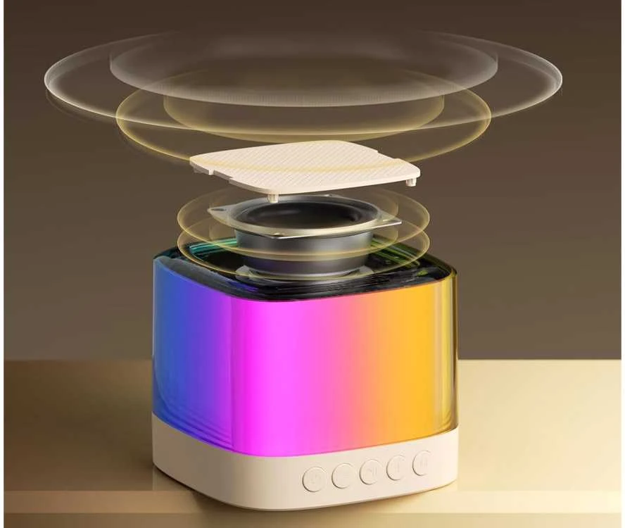 Belaidis garsiakalbis su 2 mikrofonais ir Bluetooth