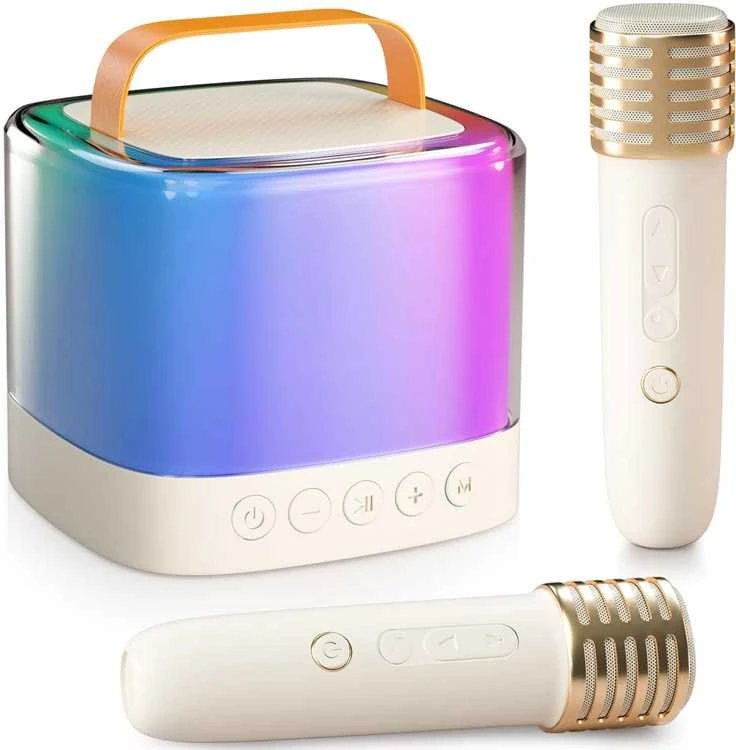 Belaidis garsiakalbis su 2 mikrofonais ir Bluetooth