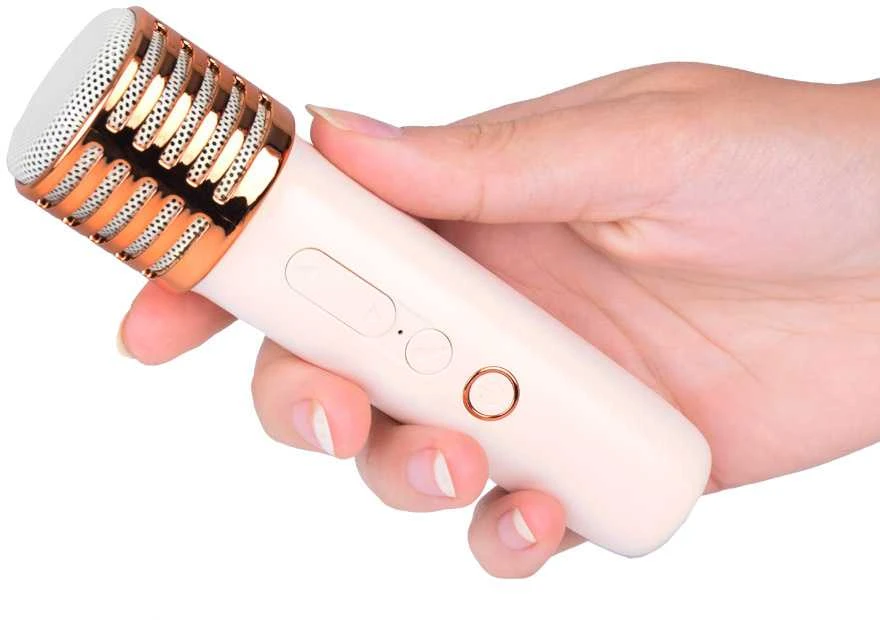 Belaidis garsiakalbis su 2 mikrofonais ir Bluetooth