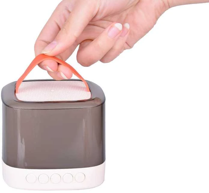 Belaidis garsiakalbis su 2 mikrofonais ir Bluetooth