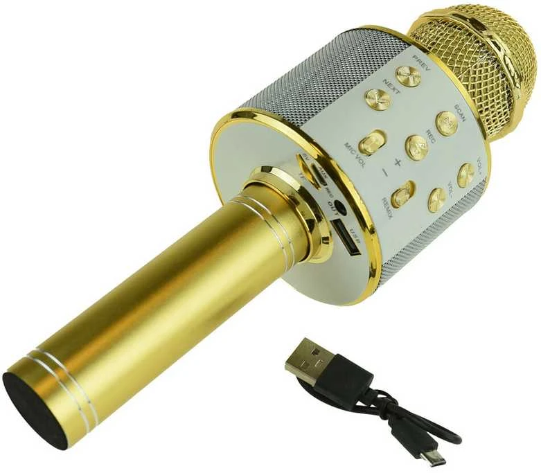 Belaidis karaoke mikrofonas