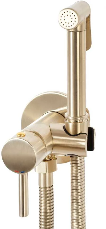 Bidė dušelis REA Lungo Loop, Brushed Gold