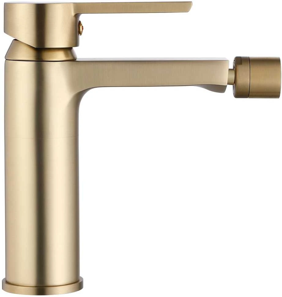 Bidė maišytuvas Rea Argus, Brushed Gold