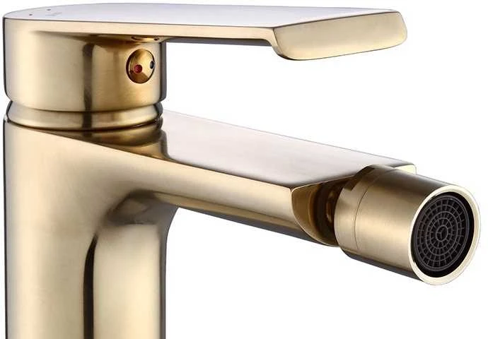 Bidė maišytuvas Rea Hass, Brushed Gold