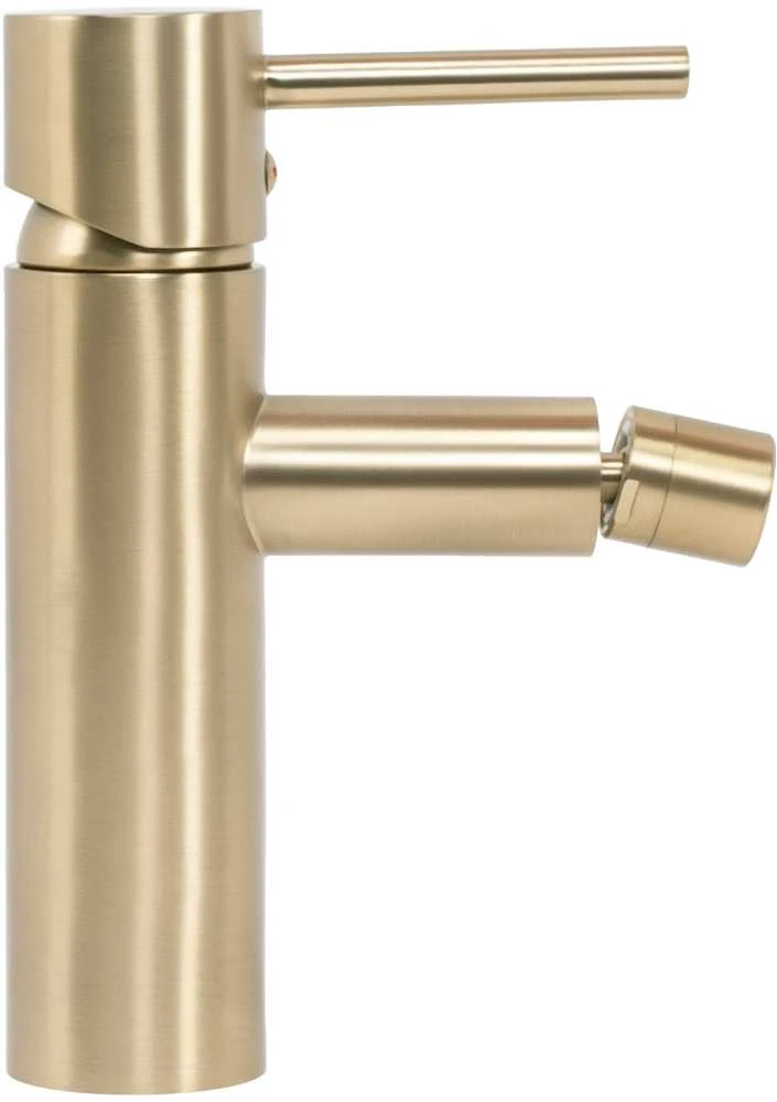 Bidė maišytuvas REA Tess, Brushed Gold