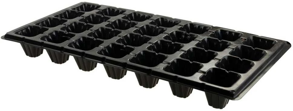 Daigykla, 28 skyriai