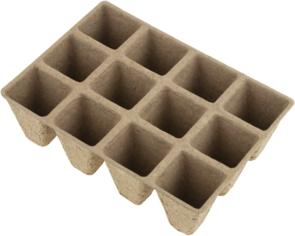 Daigyklos rinkinys