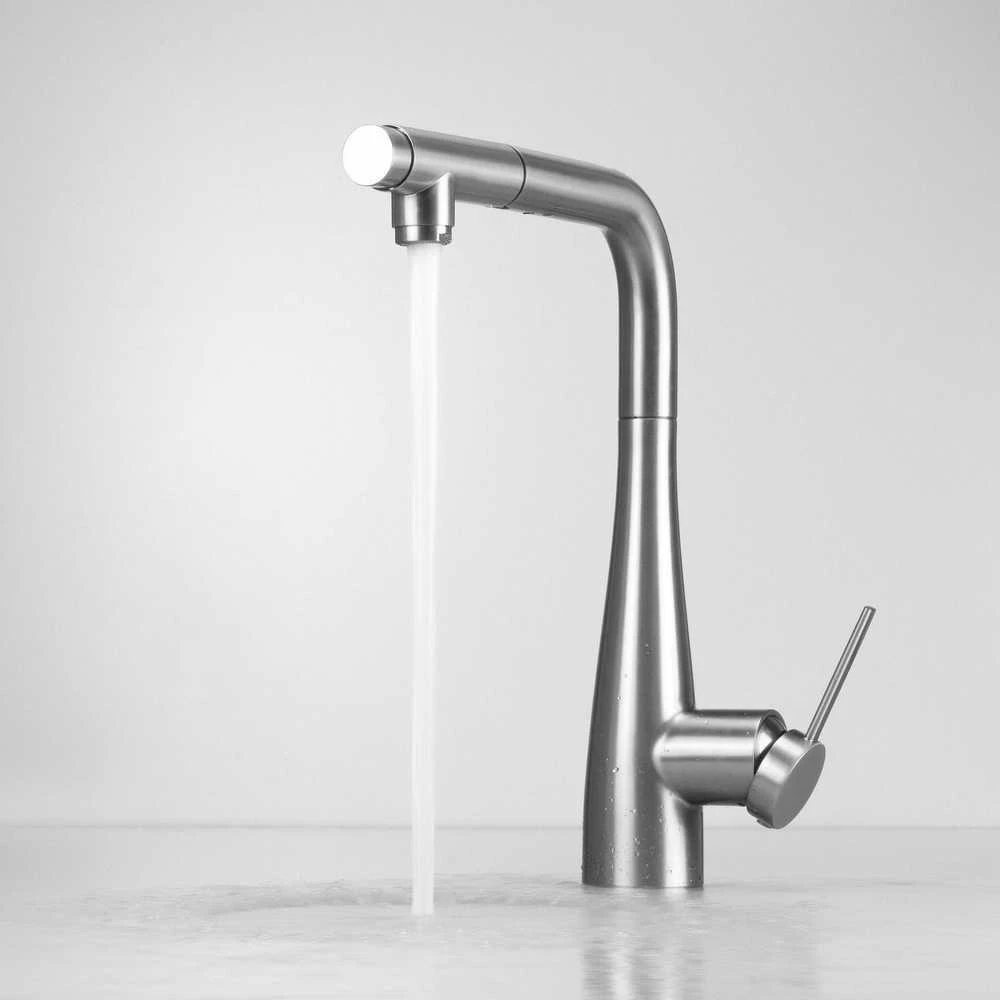 Deante Eridan virtuvinis maišytuvas su pajungimu vandens filtrui, BRE_F75M, Brushed steel
