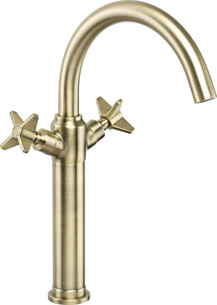 Deante praustuvo maišytuvas su klik-klak Temisto BQT M25D, brass