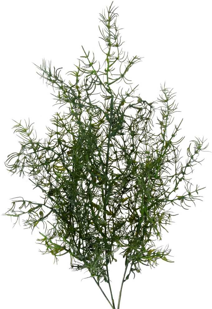 Dekoratyvinė dirbtinė šparagų šaka, 1 vnt.