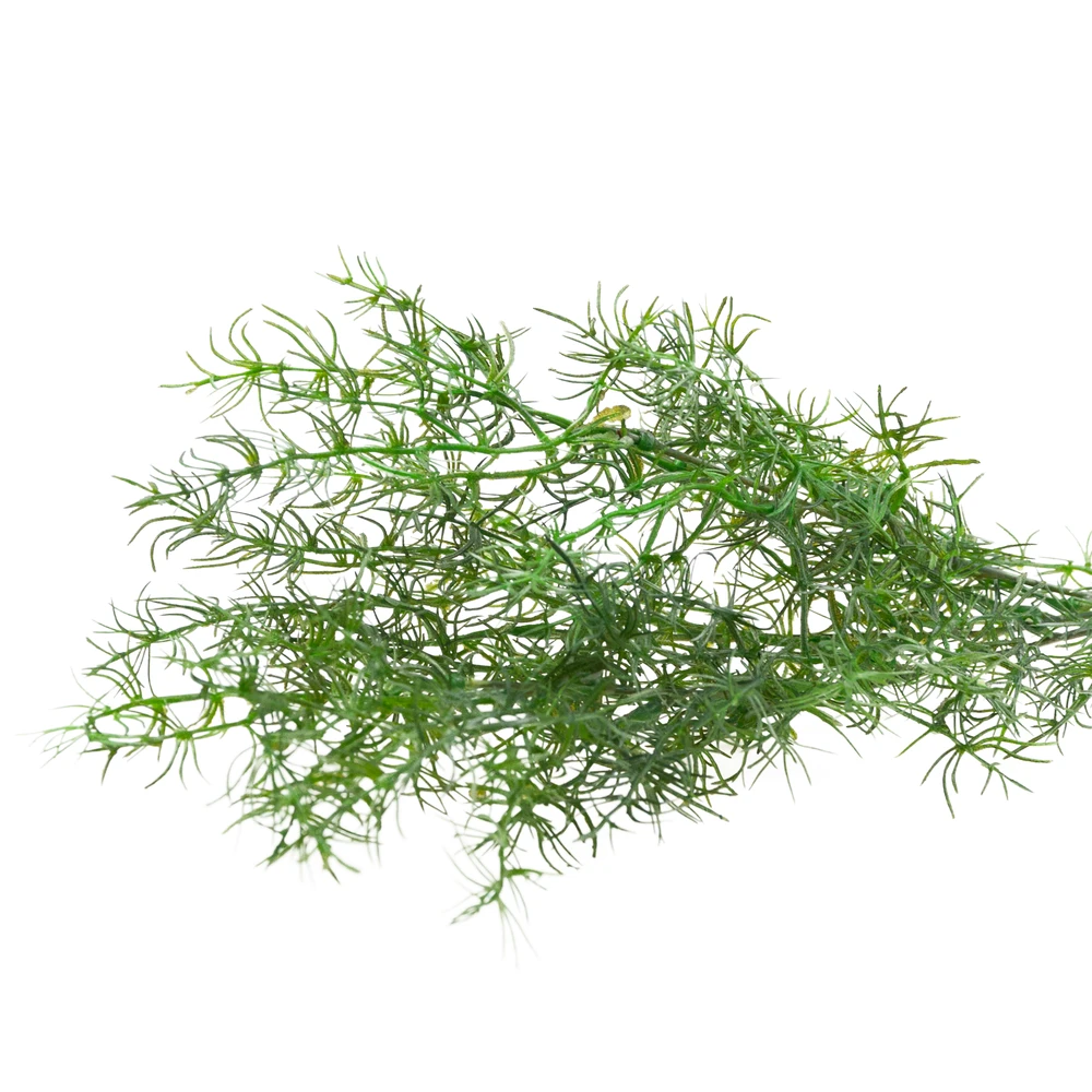 Dekoratyvinė dirbtinė šparagų šakelė, 80 cm