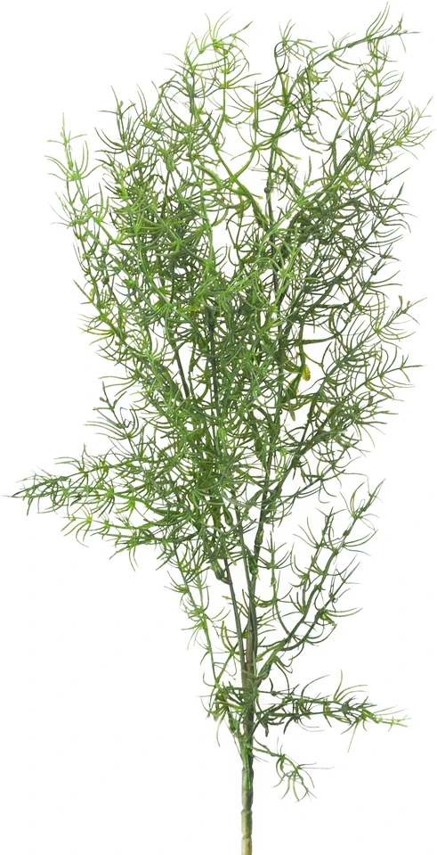 Dekoratyvinė dirbtinė šparagų šakelė, 80 cm