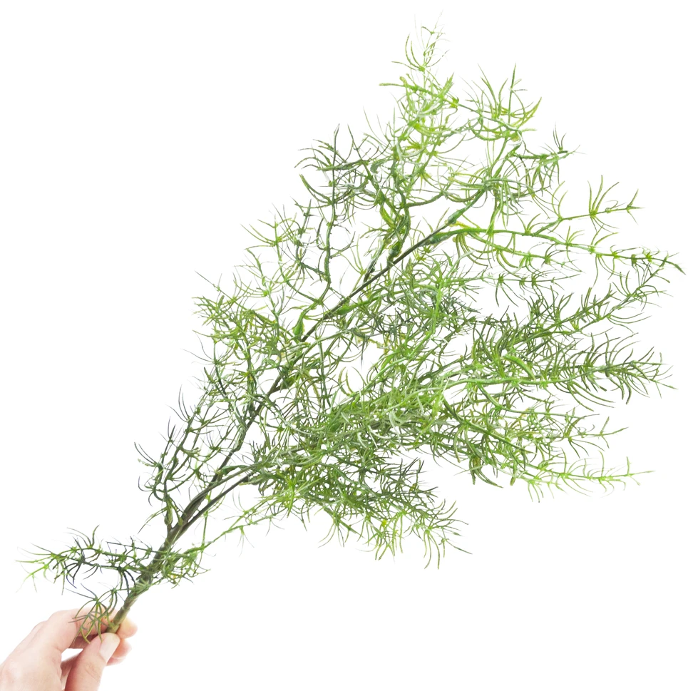 Dekoratyvinė dirbtinė šparagų šakelė, 80 cm