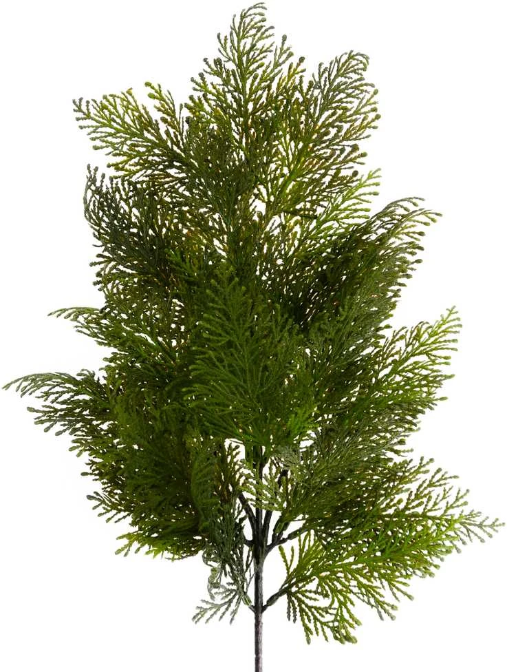 Dekoratyvinė kadagio šakelė