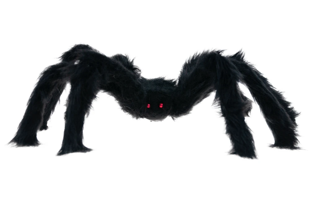 Dekoratyvinis pūkuotas voras, 45 cm