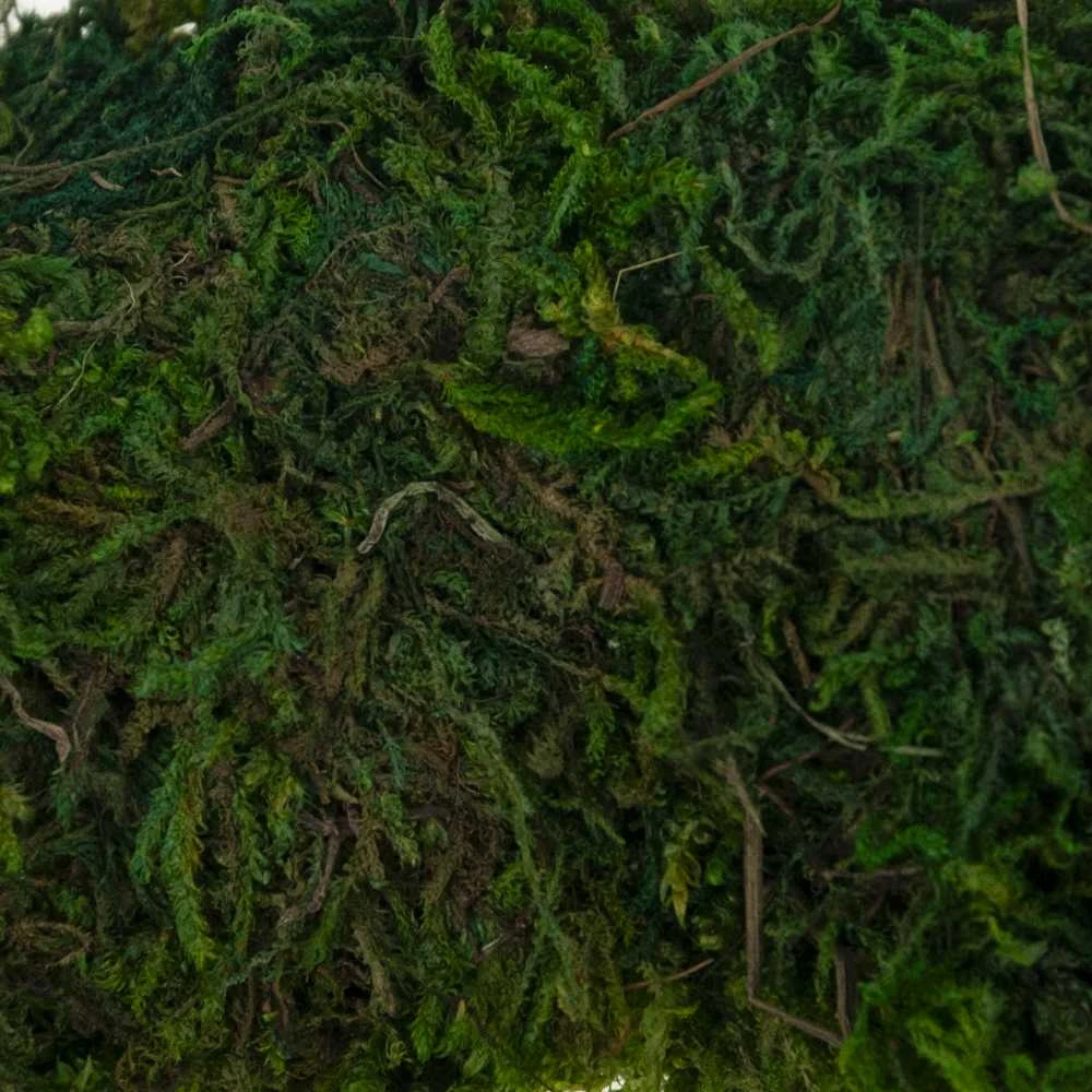 Dekoratyvinis samanų vainikas, 20 cm