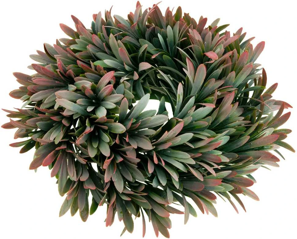 Dekoratyvinis vainikas, 32 cm