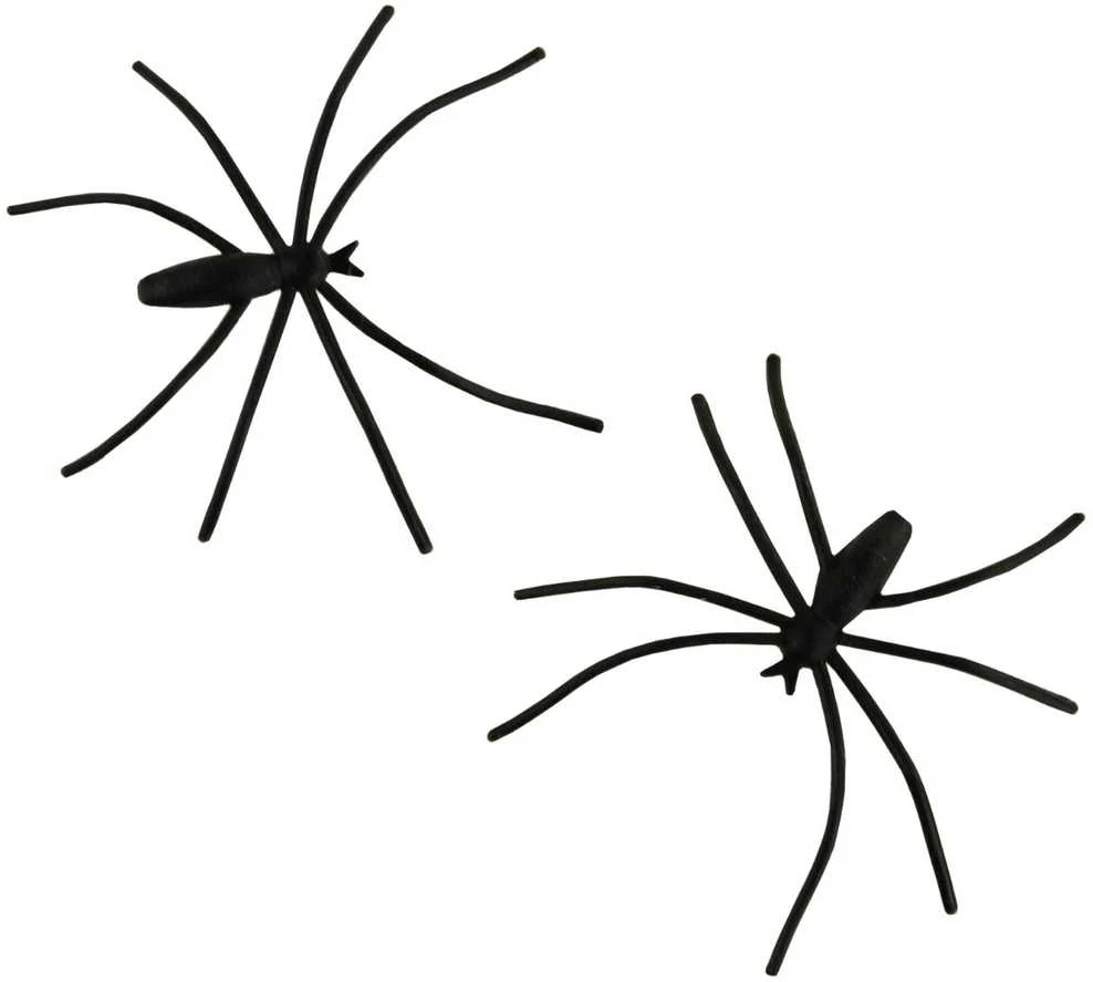 Dekoratyvinis voratinklis su vorais