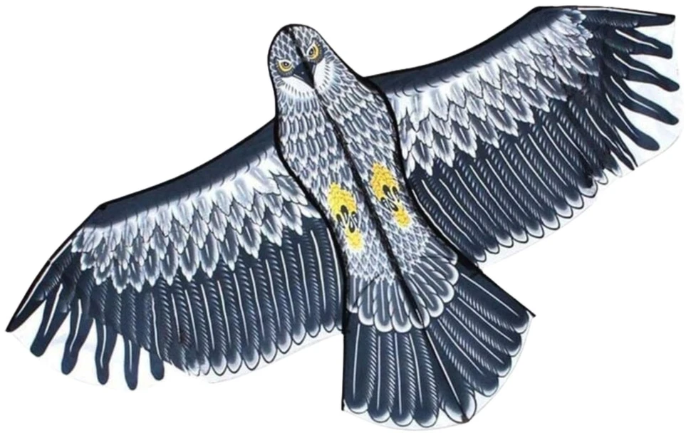 Didelis aitvaras Erelis, 150 cm