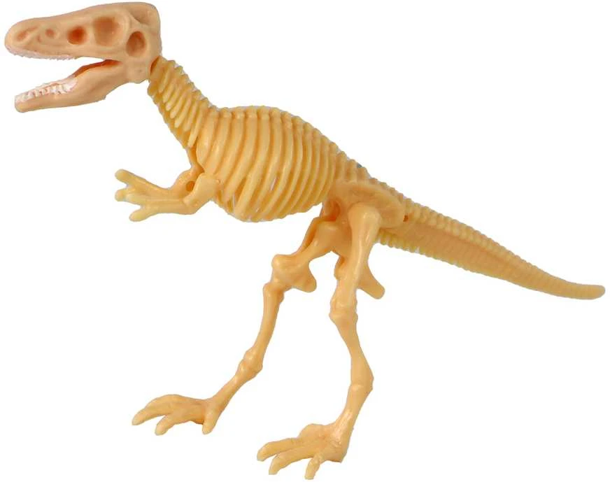 Dinozauro skeletas kiaušinyje, 9 cm (1 vnt.)