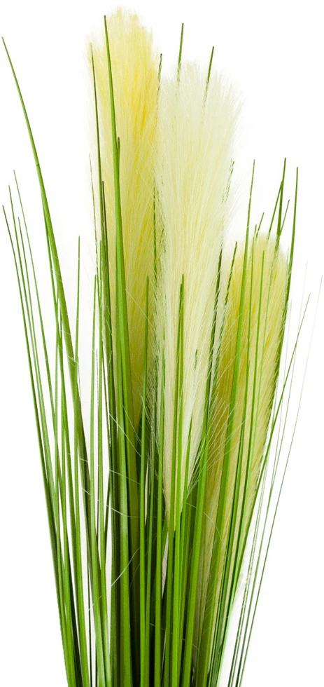 Dirbtinė dekoratyvinė pampų žolė, 73 cm