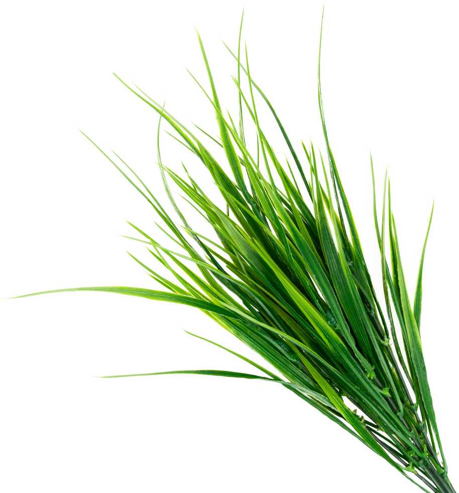 Dirbtinė dekoratyvinė žolė, 40 cm