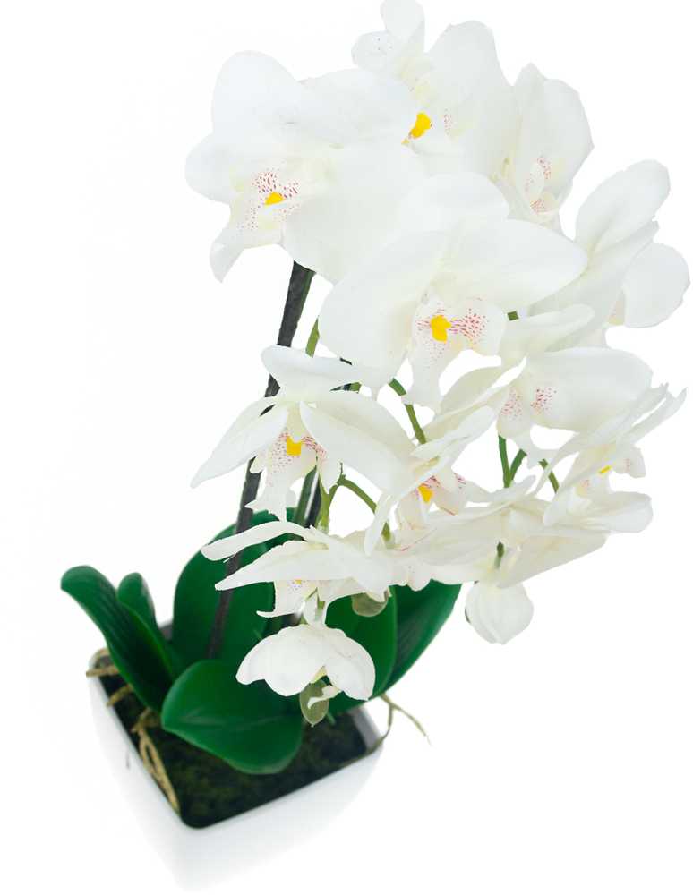 Dirbtinė orchidėja su vazonu, 55cm