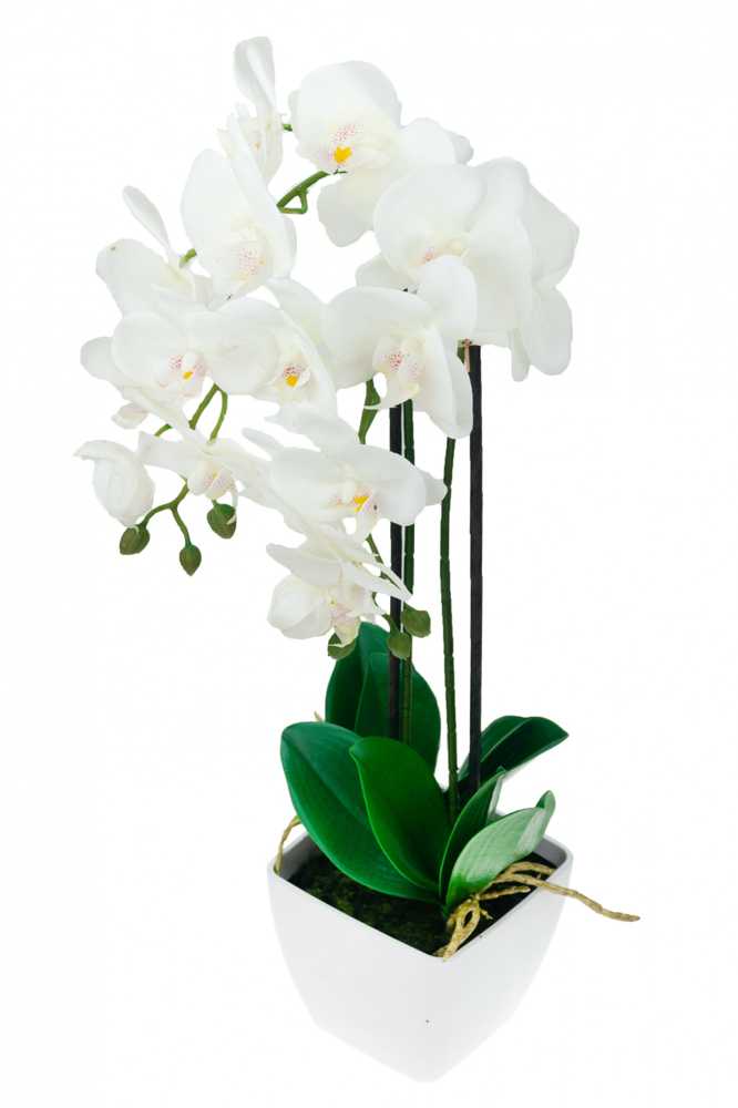 Dirbtinė orchidėja su vazonu, 55cm