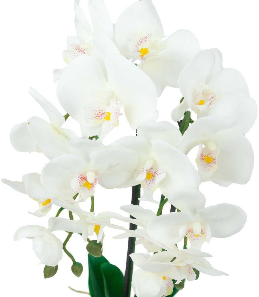 Dirbtinė orchidėja su vazonu, 55cm