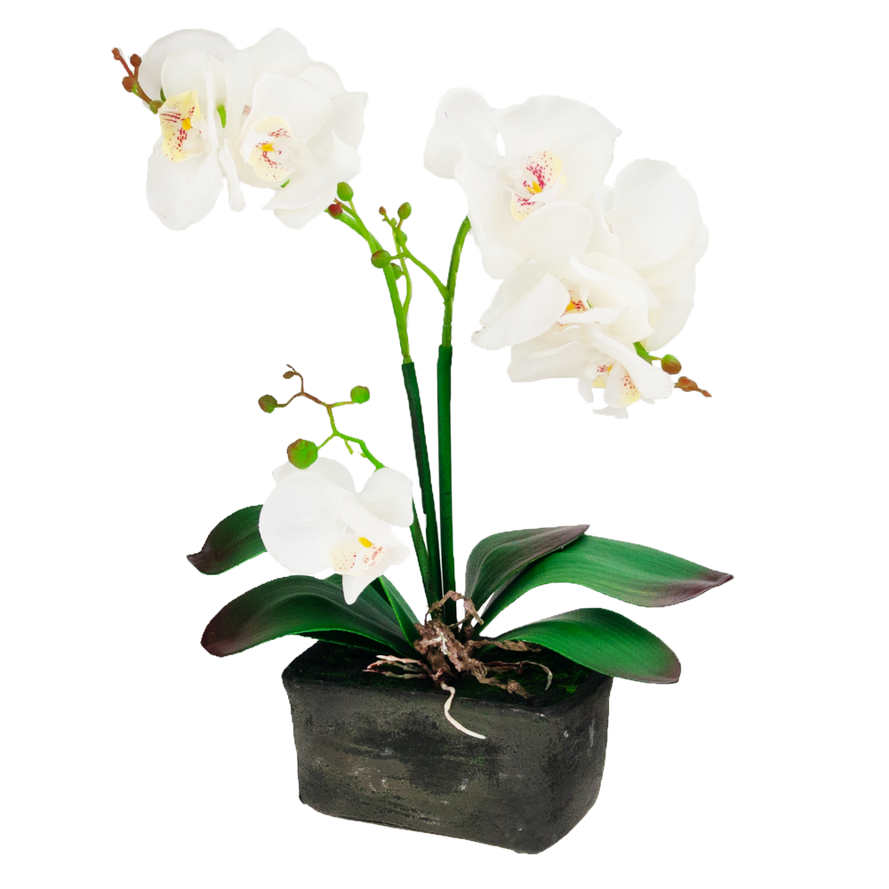 Dirbtinė orchidėja vazone, 1 vnt.