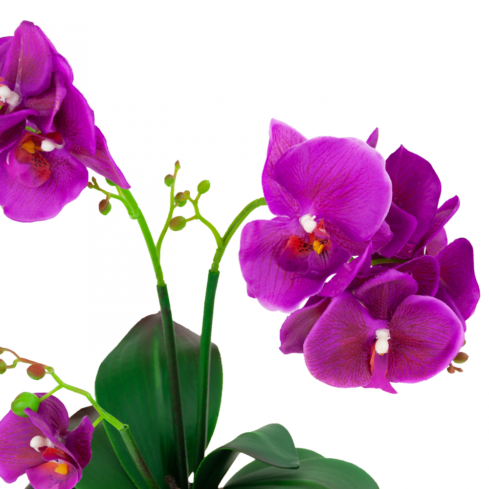 Dirbtinė orchidėja vazone, 1 vnt.