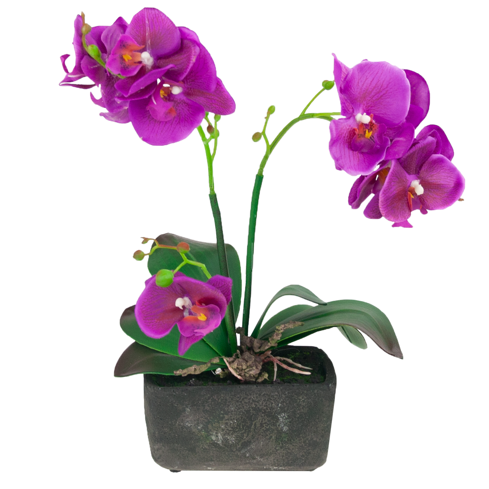 Dirbtinė orchidėja vazone, 1 vnt.