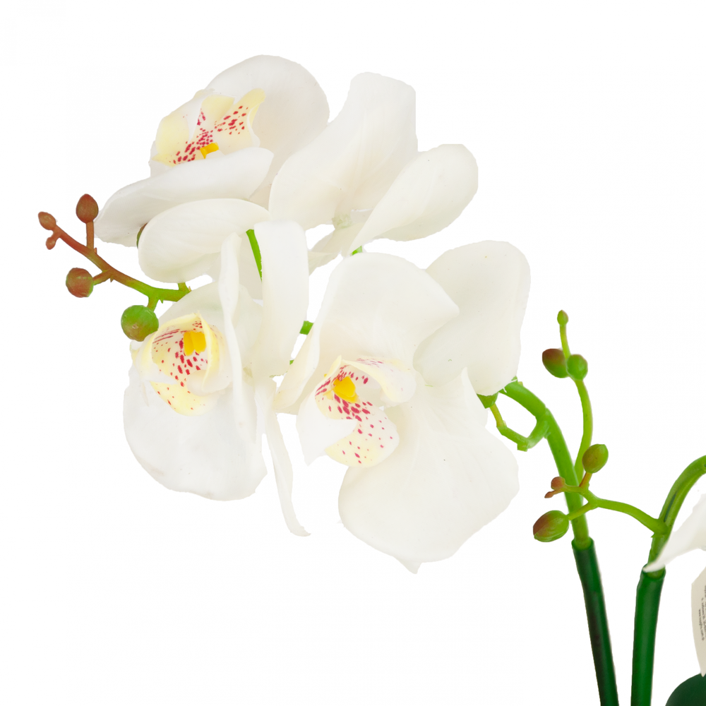 Dirbtinė orchidėja vazone, 1 vnt.