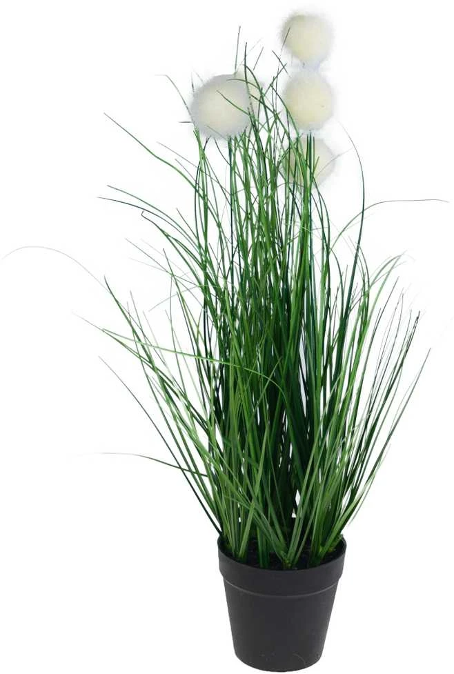 Dirbtinė pampų žolė vazonėlyje, 50 cm