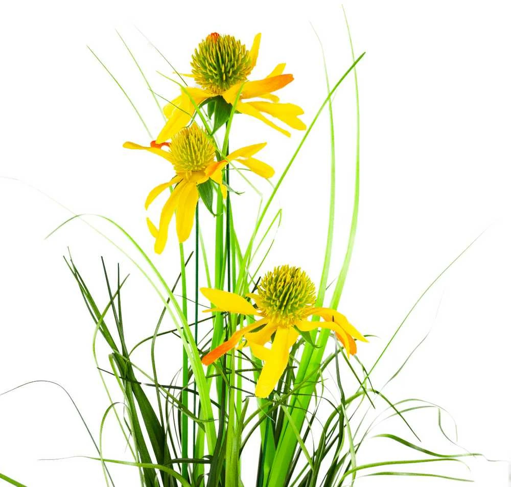 Dirbtinė rudbekija vazone, 50 cm