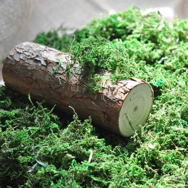 Dirbtinės samanos, 30 g