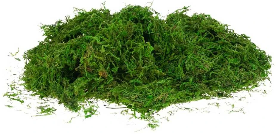 Dirbtinės samanos, 30 g