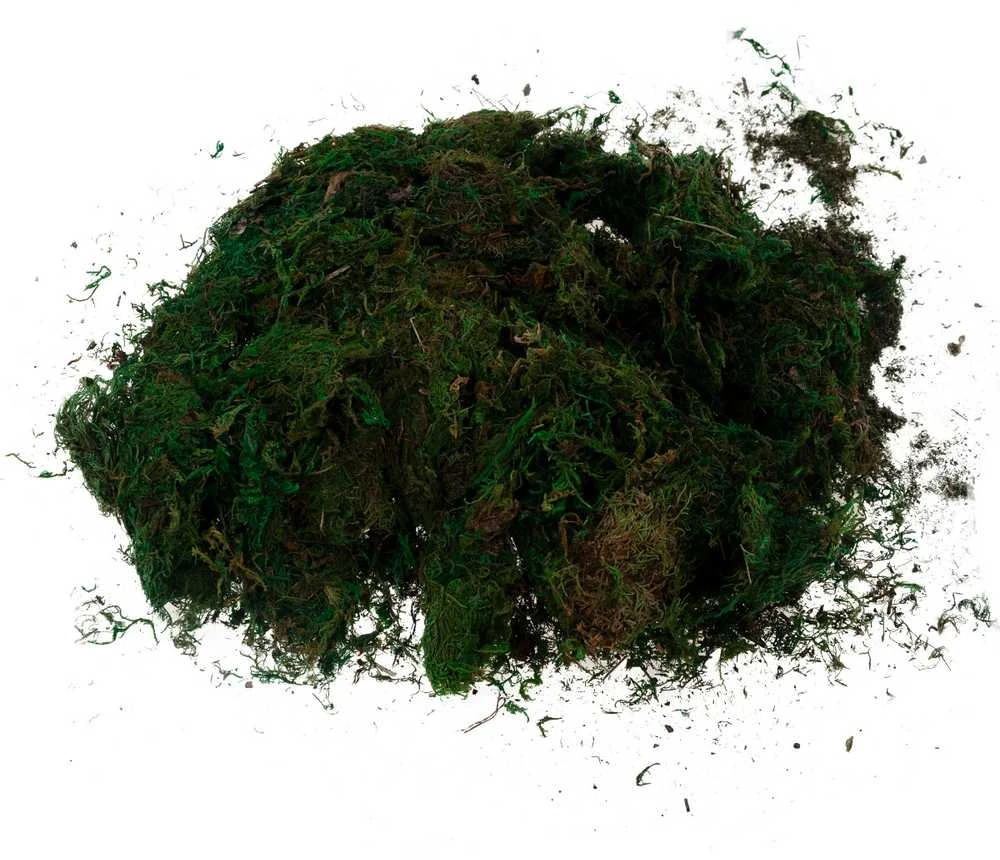 Dirbtinės samanos dekoracijoms, 1kg