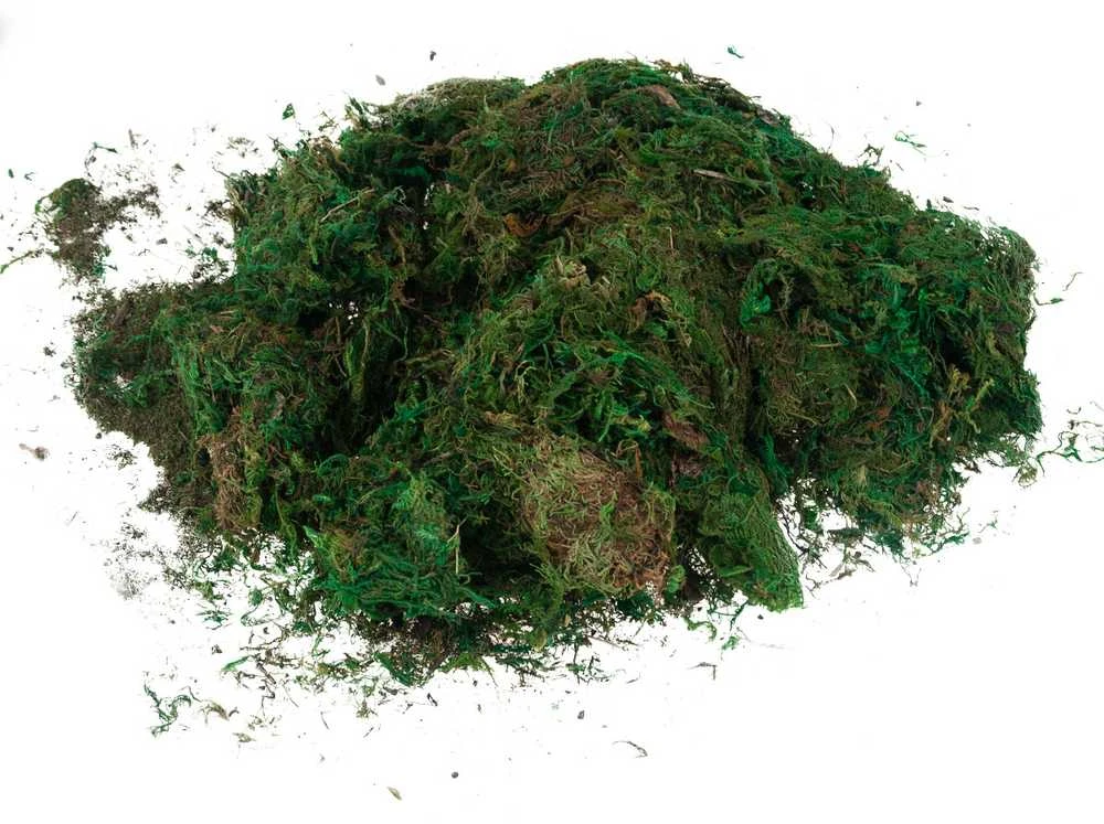 Dirbtinės samanos dekoracijoms, 1kg