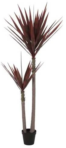 Dirbtinis augalas Agava, 230 cm