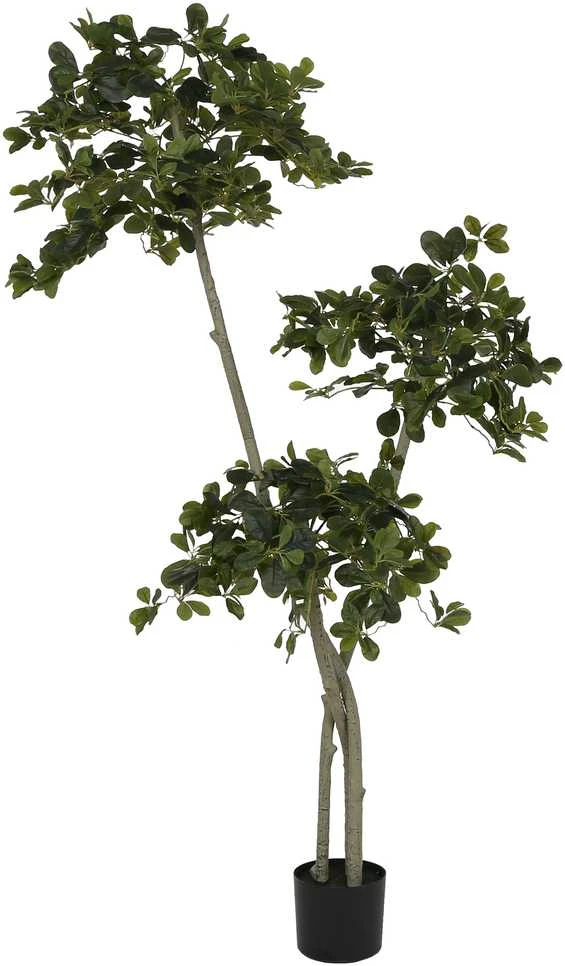 Dirbtinis augalas Alyvmedis daugiakamienis, 180 cm