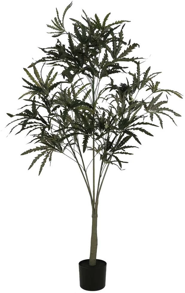 Dirbtinis augalas Aralija, 160 cm