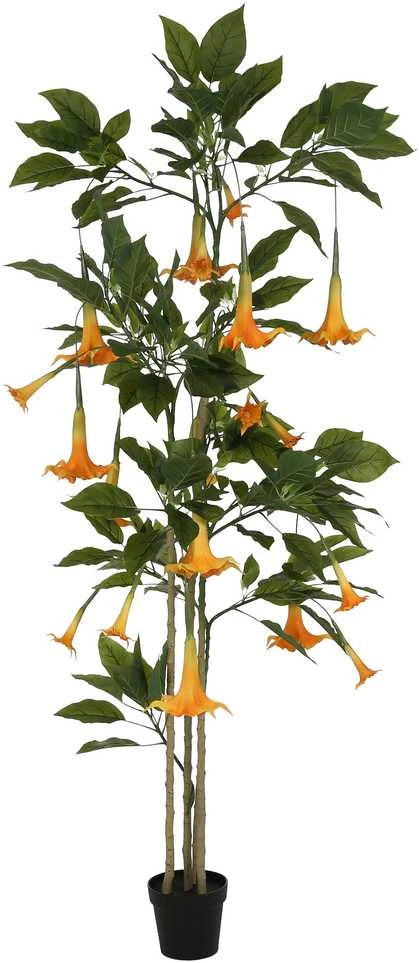 Dirbtinis augalas Datura-Brugmansija, 200 cm