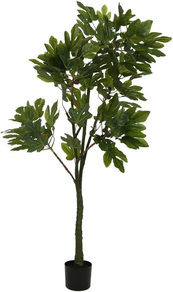 Dirbtinis augalas Figmedis, 180 cm