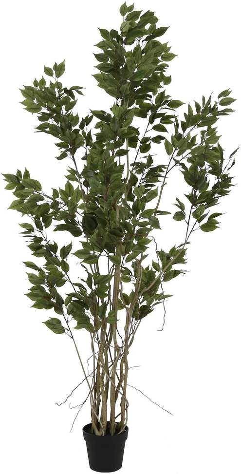 Dirbtinis augalas Fikusas, 190 cm